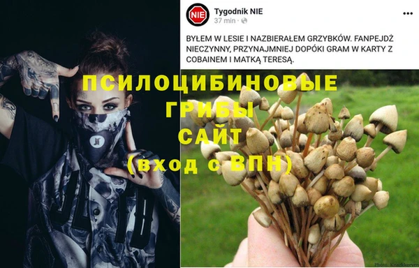 прущие крисы Алзамай