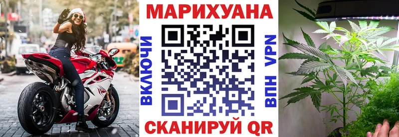 купить  цена  Усолье-Сибирское  МАРИХУАНА SATIVA & INDICA 